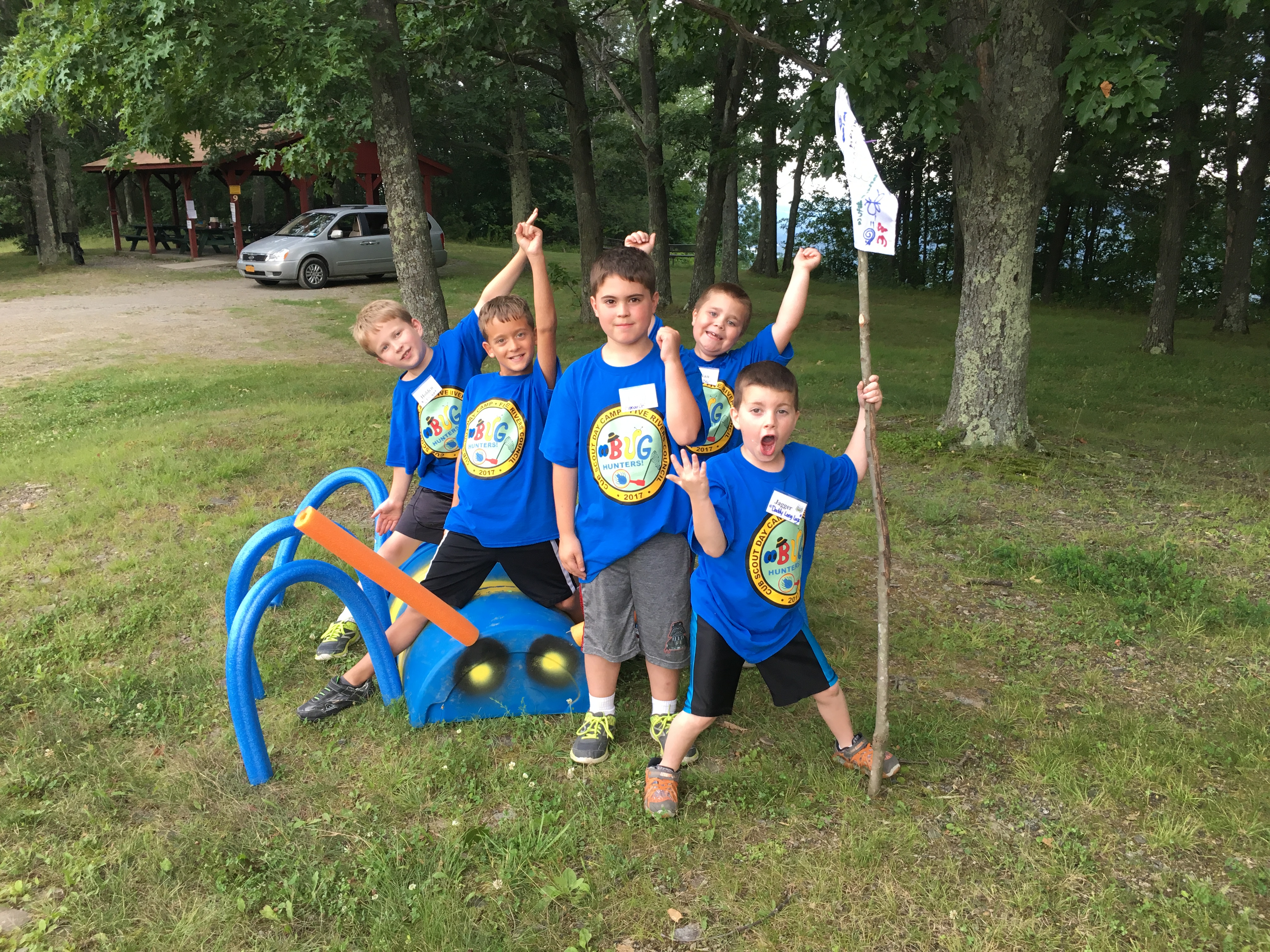 cub flags 