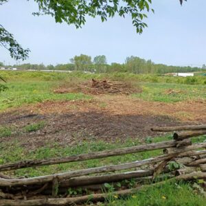 field with pile of recently-cleared trees, with old wooden rail fence in foreground