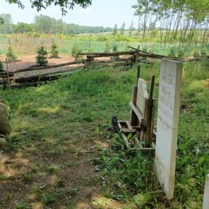 Newly-planted white pine trees behind an old wooden rail fence. In foreground, old gravestones in a shaded family plot